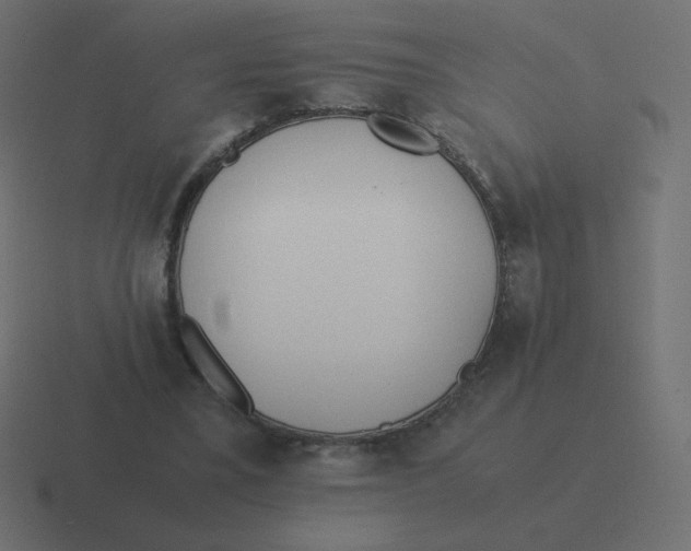 X0000116460395200912292011