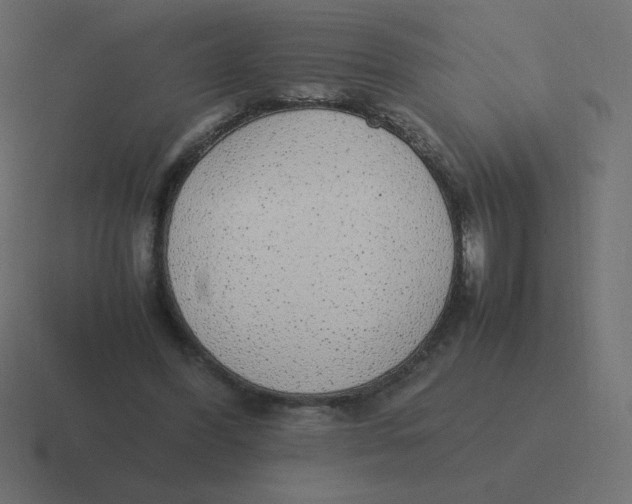 X0000116460396200912292011