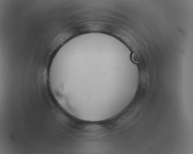X0000116460397200912292011