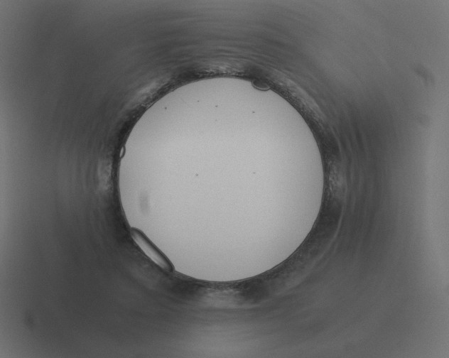 X0000116460403200912292011