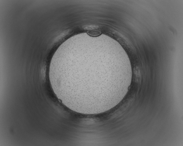 X0000116460404200912292011