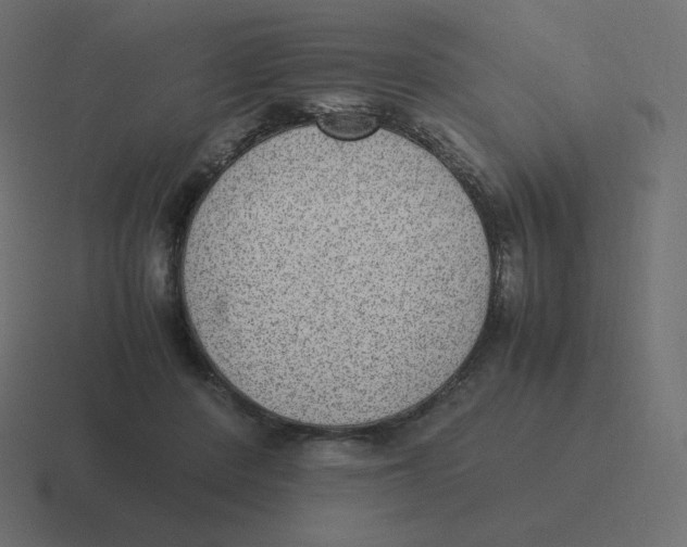 X0000116460408200912292011