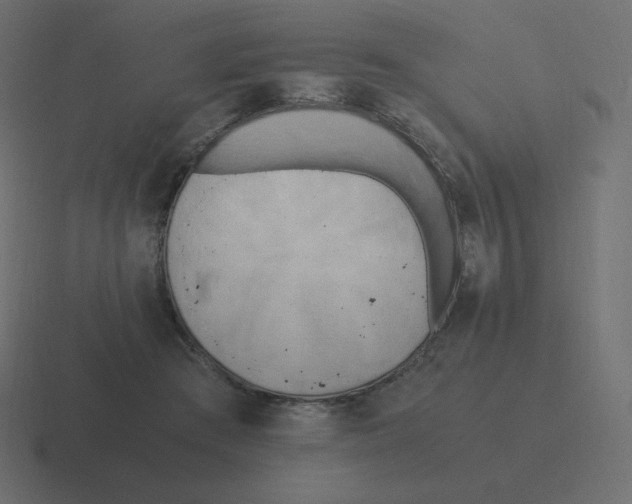 X0000116460409200912292011