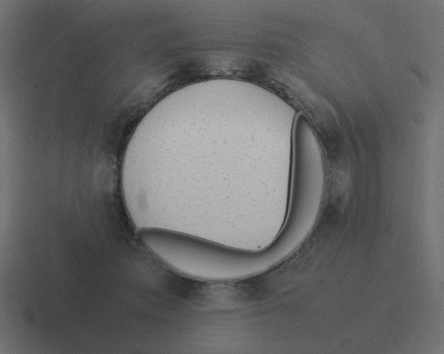 X0000116460413200912292011