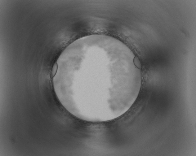 X0000116460415200912292011