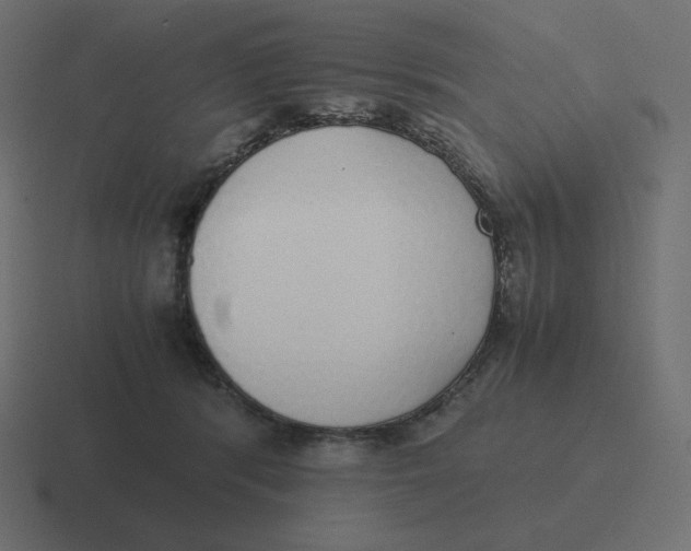 X0000116460416200912292011