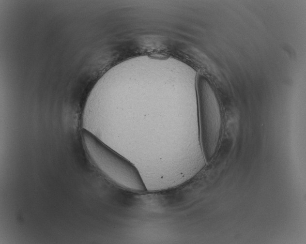X0000116460417200912292011