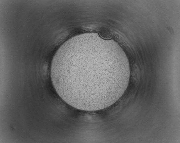 X0000116460420200912292011