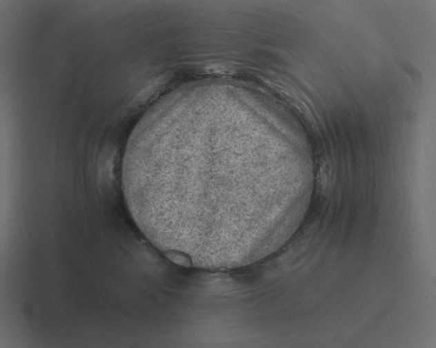 X0000116460424200912292011