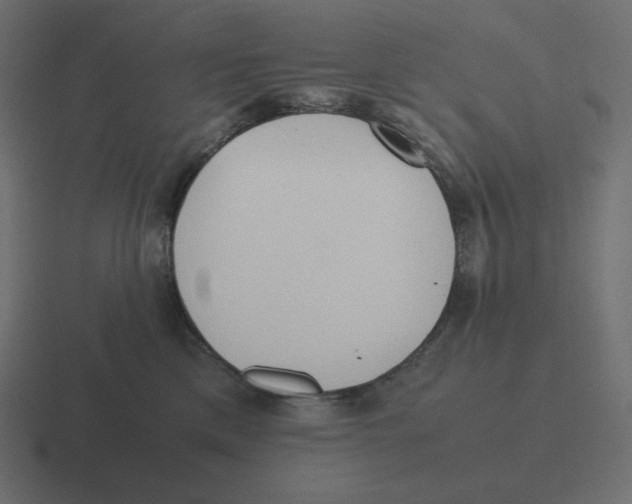 X0000116460425200912292011
