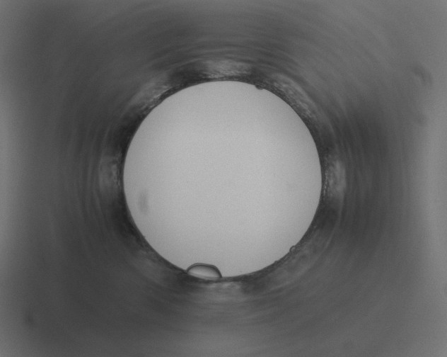 X0000116460426200912292011