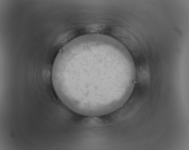 X0000116460427200912292011