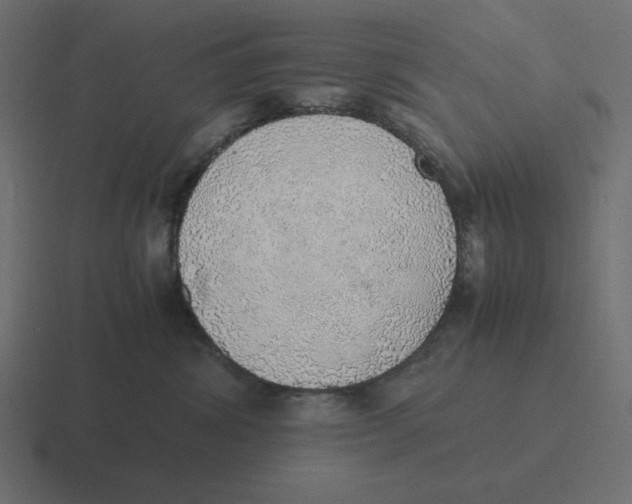 X0000116460428200912292011