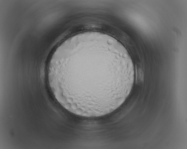 X0000116460435200912292010