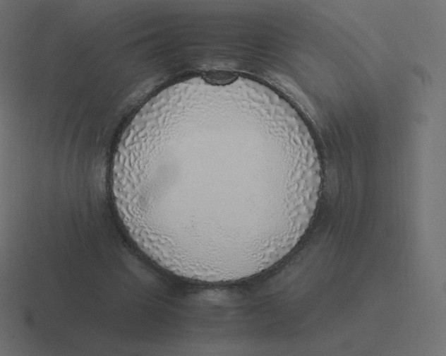 X0000116460441200912292010