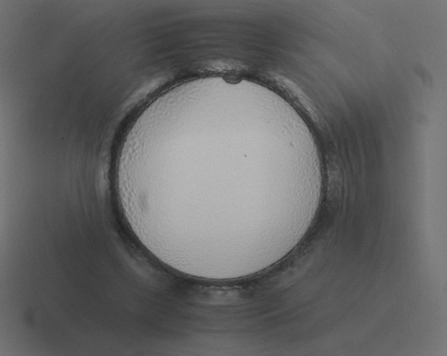 X0000116460443200912292010