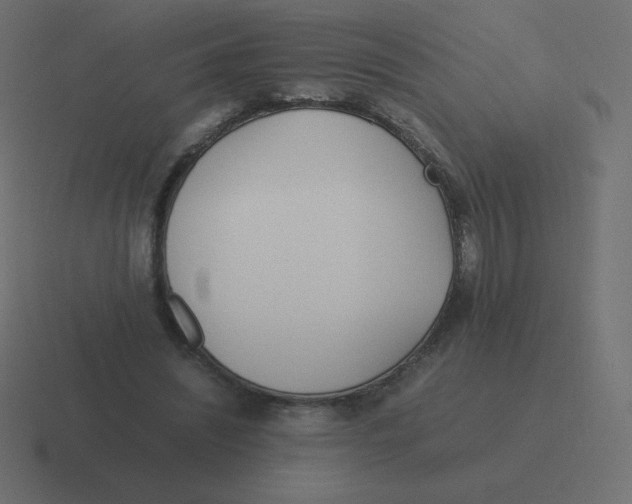 X0000116460444200912292010