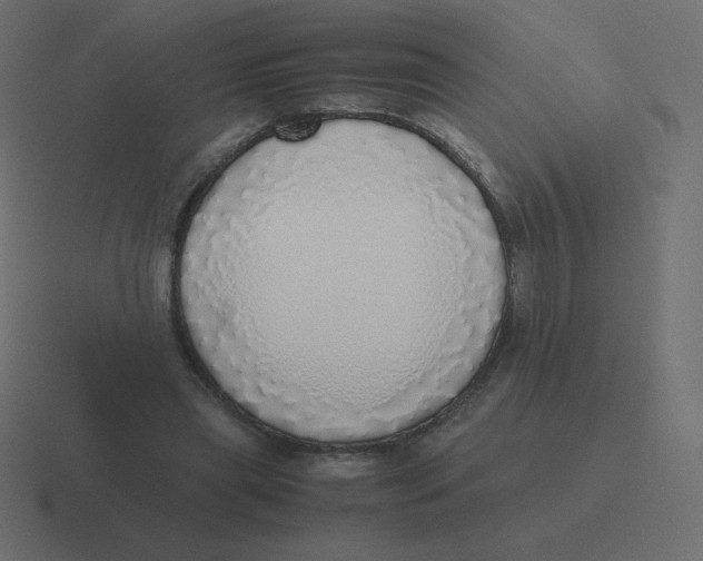 X0000116460445200912292010