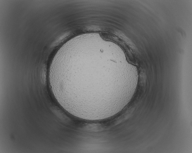 X0000116460446200912292010