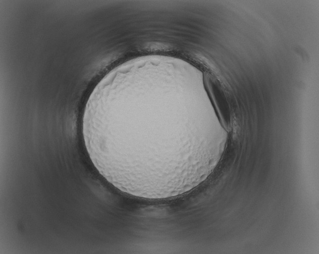 X0000116460447200912292010