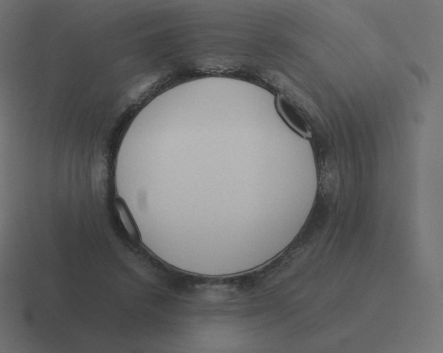X0000116460448200912292010