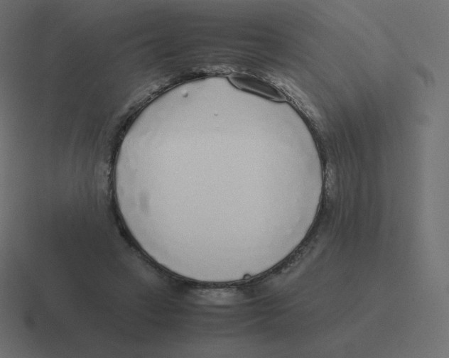 X0000116460449200912292010