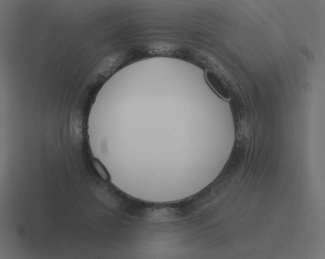 X0000116460452200912292010