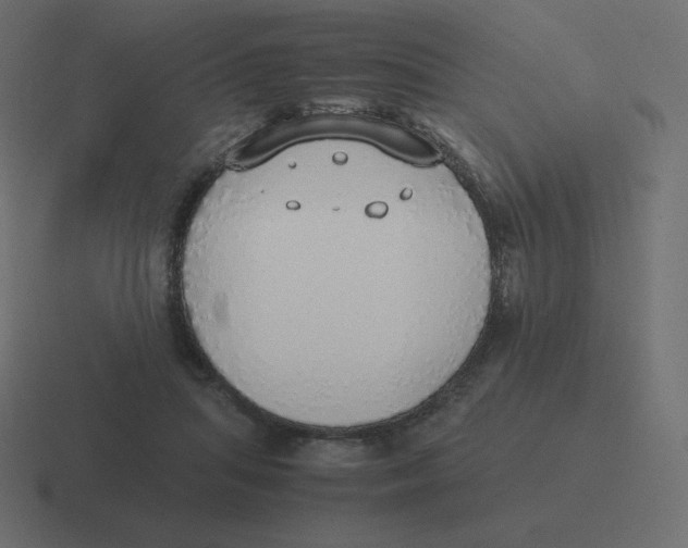 X0000116460455200912292010
