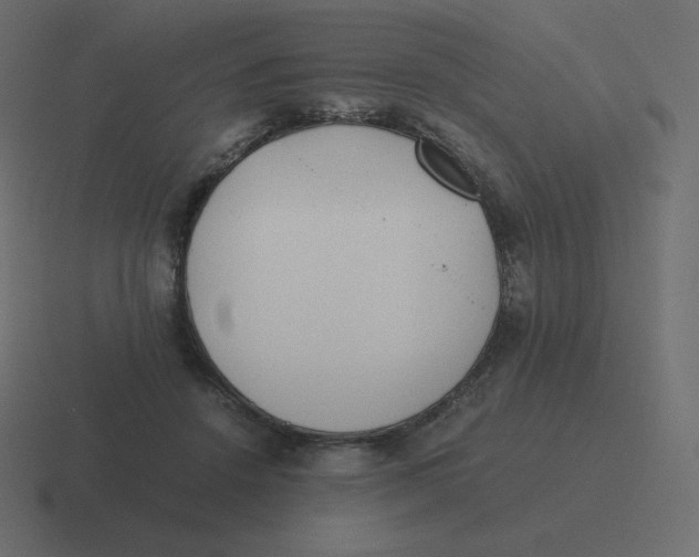 X0000116460456200912292010