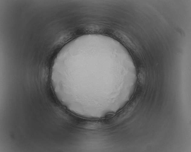 X0000116460458200912292010