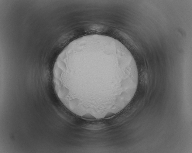 X0000116460459200912292010
