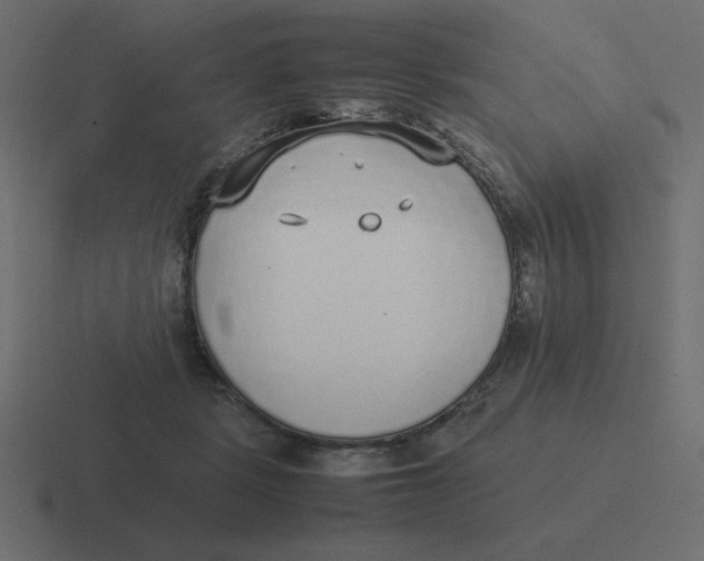 X0000116460461200912292010
