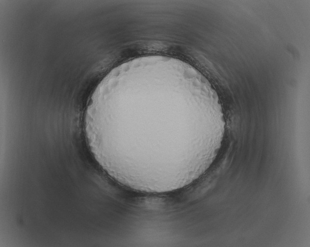 X0000116460462200912292010