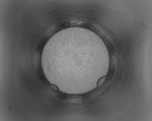X0000116460463200912292010