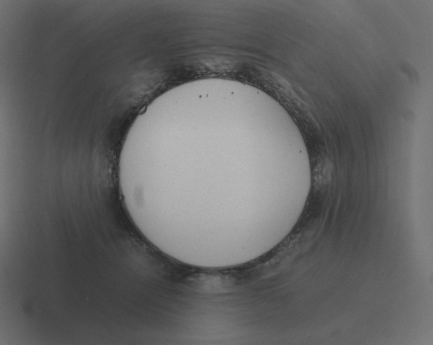 X0000116460464200912292010
