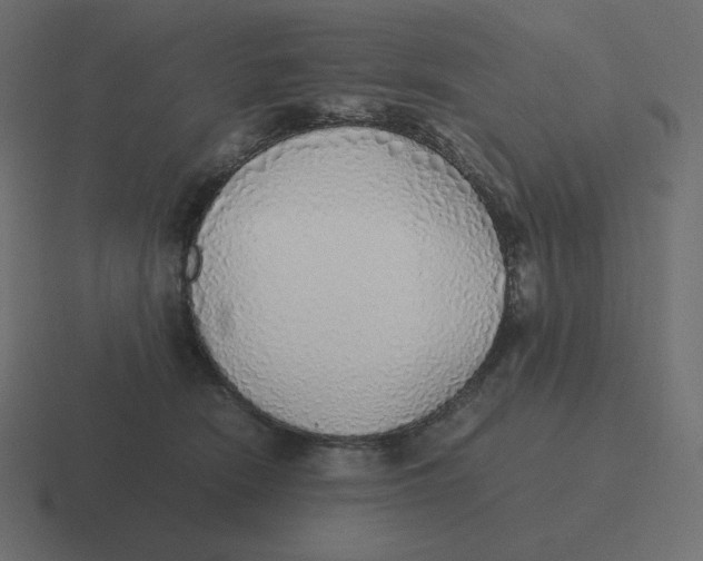 X0000116460466200912292010