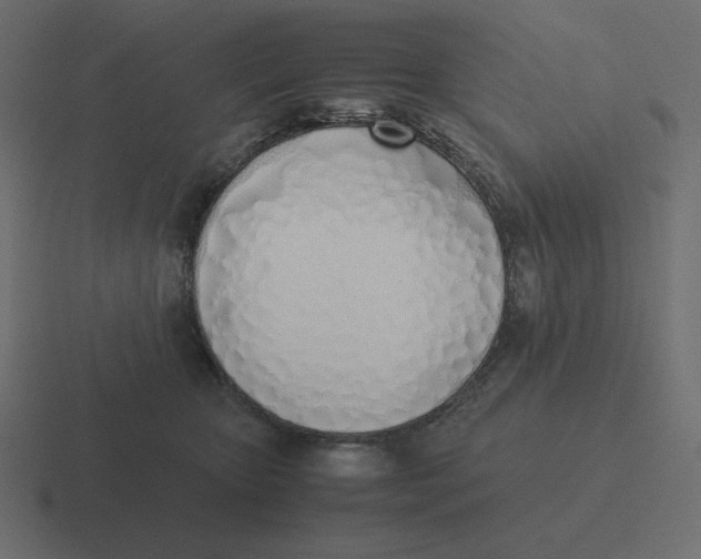 X0000116460467200912292010
