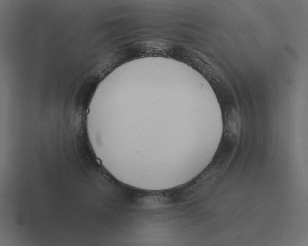 X0000116460468200912292010