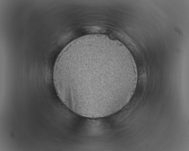 X0000116460469200912292010