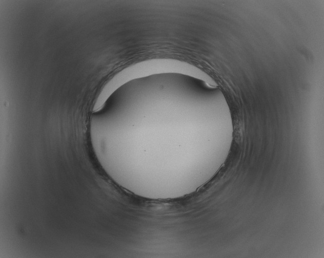 X0000116460472200912292011