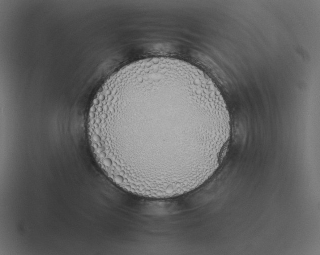 X0000116460473200912292011
