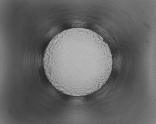 X0000116460474200912292011