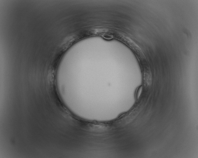 X0000116460475200912292011