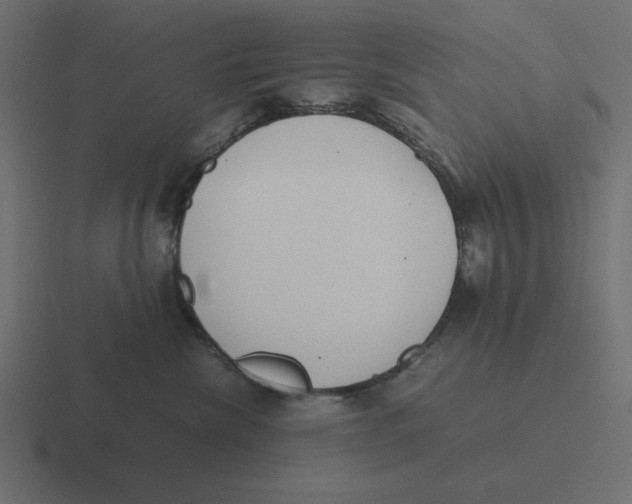 X0000116460476200912292011