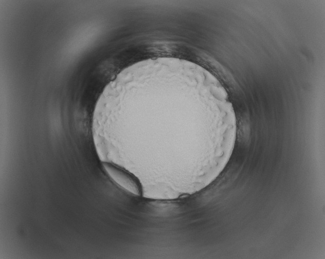 X0000116460477200912292011