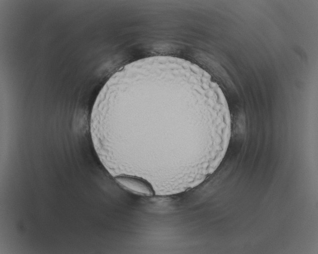X0000116460478200912292011