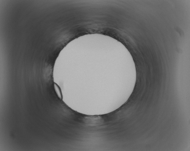 X0000116460480200912292011