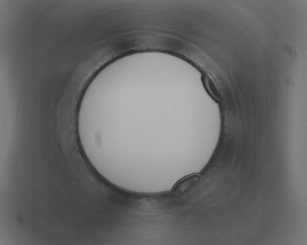 X0000116460481200912292010