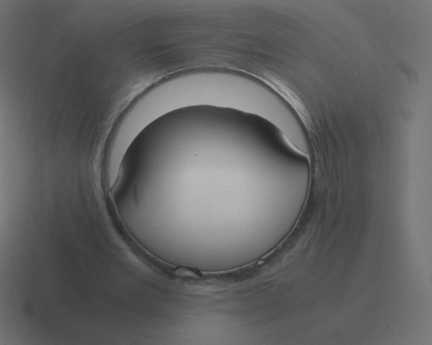 X0000116460485200912292010