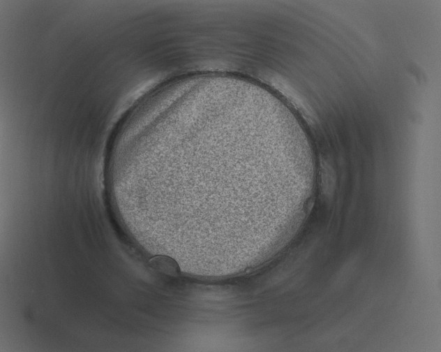 X0000116460486200912292010